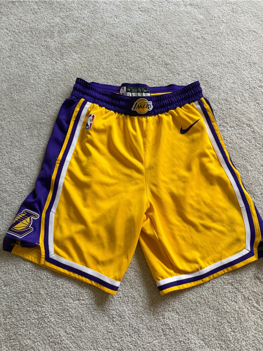 Nike Lakers Basketball Shorts